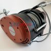 kėlimo gervė 220V 250kg